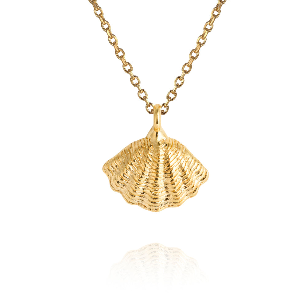 Mira Shell Necklace