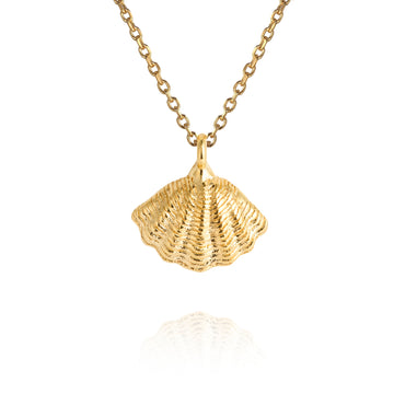 Mira Shell Necklace