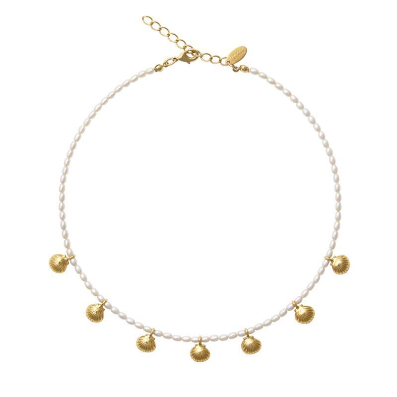 Shell Pearl Choker Necklace